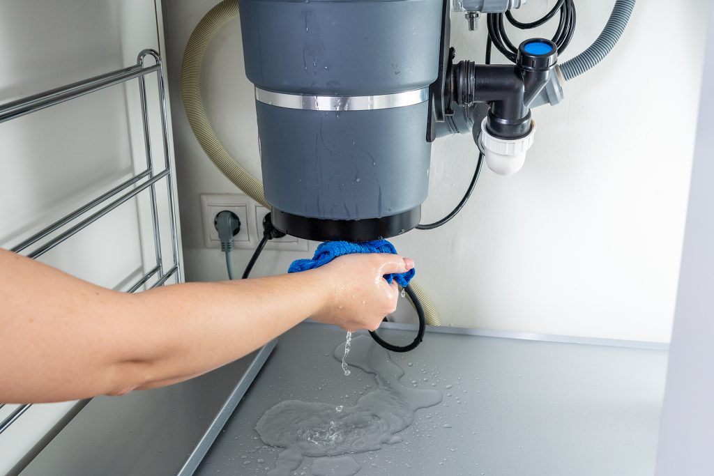 Garbage Disposal Leaking? Here are 4 Common Areas To Check