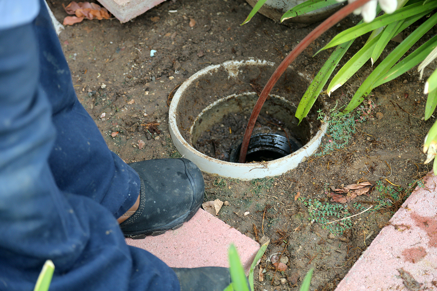 Common Sources of Sewer Line Clogs