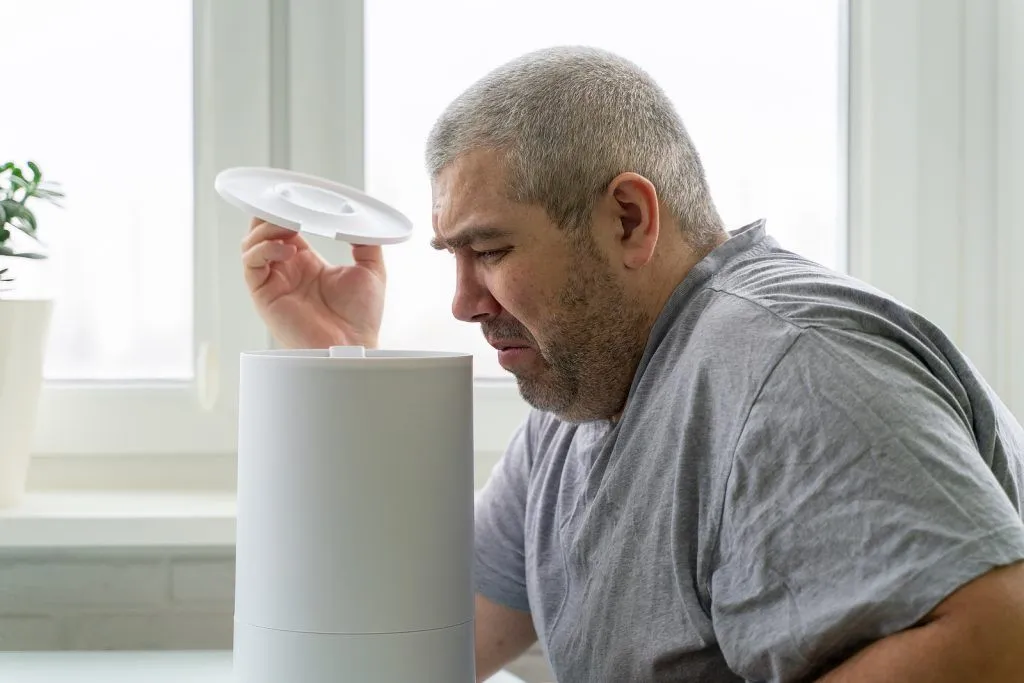 4 Reasons Your Home Smells Musty – And How To Fix Them