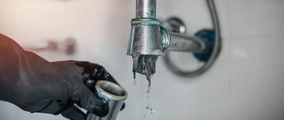 Plumbers Near Me