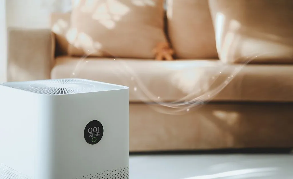 How To Improve Your Indoor Air – Humidifier VS Air Purifier