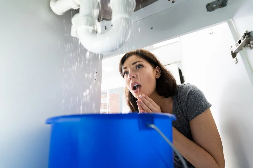 How To Spot 4 Common Plumbing Leaks